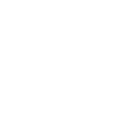 Logo Benvic White