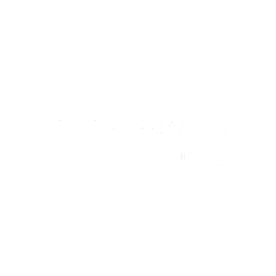 Logo 20