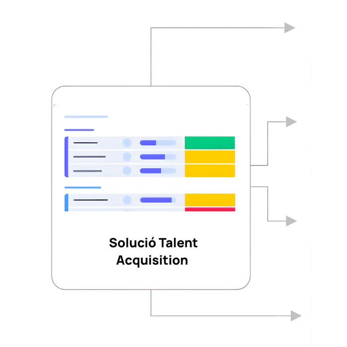 Talent diagrama01 cat