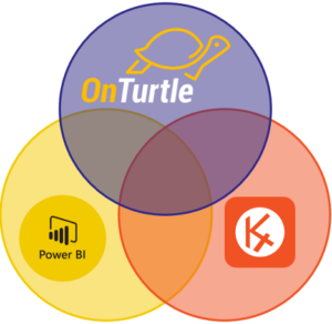 Caso onturtle