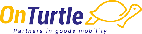 On turtle logo color