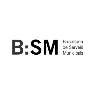 Logo bsm
